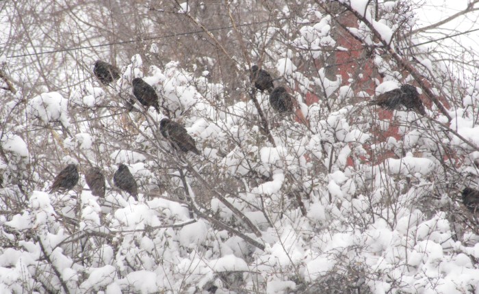 Worship By Name&nbsp;Intro